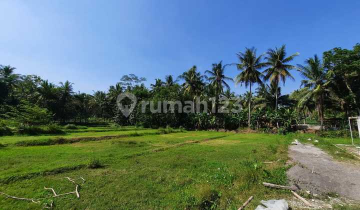 Tanah dibawah 1Jtan, Siap Akad, Jogja Kulonprogo