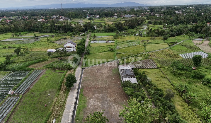 Kavling Jakal KM 12 (5 Menit Pawon Mbah Gito) Kavling Jakal KM 12 (5 Menit Pawon Mbah Gito)