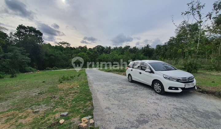 Kulon Progo – Kavling Strategis Dekat Bandara, Cocok untuk Hunian & Kos Kulon Progo – Kavling Strategis Dekat Bandara, Cocok untuk Hunian & Kos