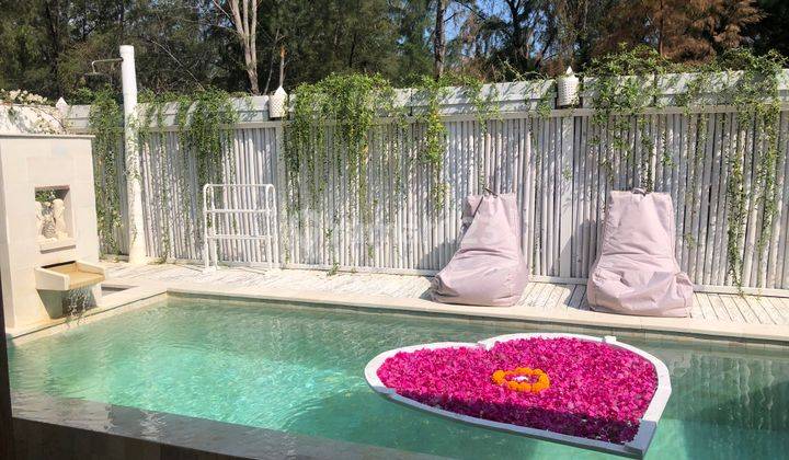 Hot Sale Beachfront Resort Coral Flora At Gili Trawangan Lombok 17