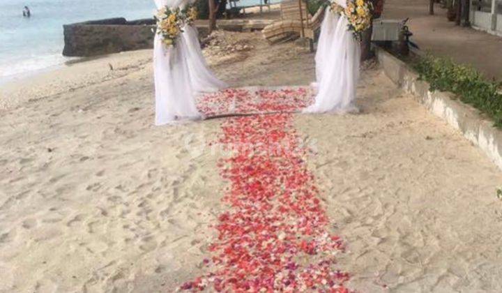 Hot Sale Beachfront Resort Coral Flora At Gili Trawangan Lombok 20