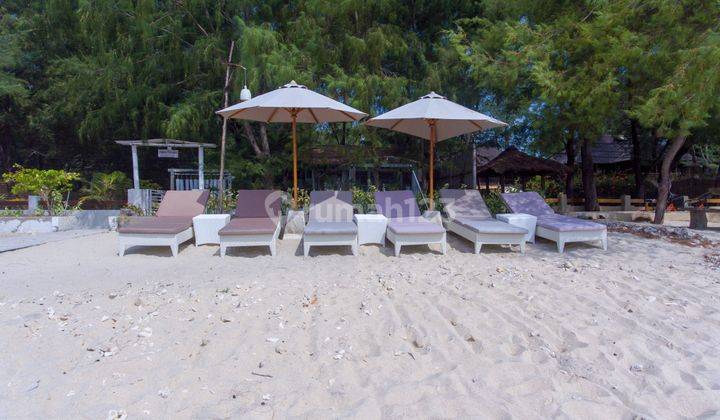 Hot Sale Beachfront Resort Coral Flora At Gili Trawangan Lombok 34