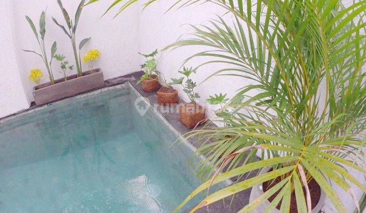 For Rent 2 Bedrooms Villa Fully Furnished Kerobokan Bali 1