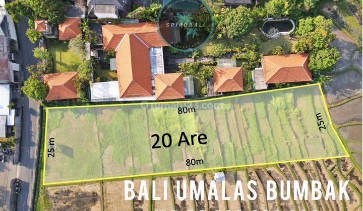 Premium Land For Sale 20 Are Umalas Bumbak Dauh Bali 1