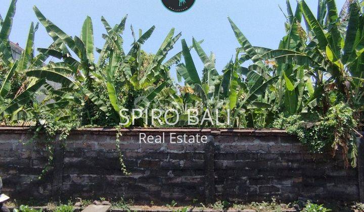 Selling Freehold Land in the Teuku Umar Business Area, West Denpasar 2