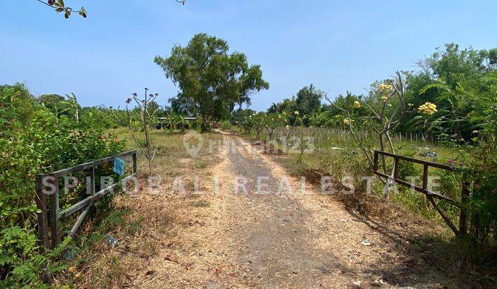 Beach Front Land 97,5 Are For Sale Singaraja 1