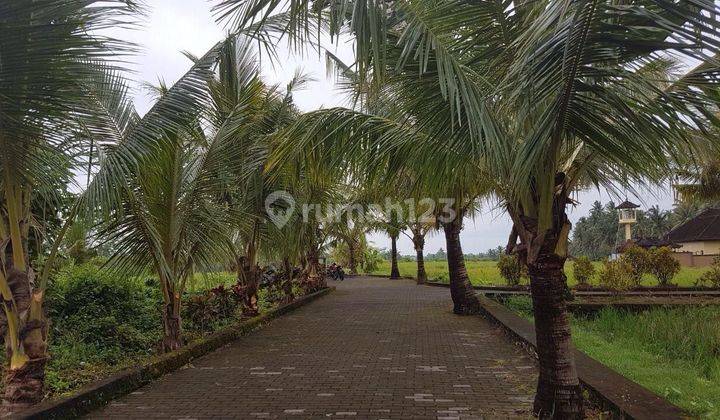 Jual Murah Tanah Kavling 700m2 di Nyambu Kediri Tabanan 2