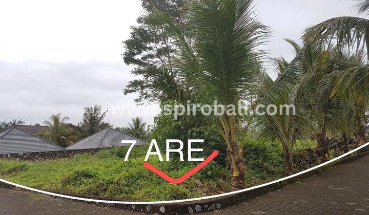 Jual Murah Tanah Kavling 700m2 di Nyambu Kediri Tabanan 1