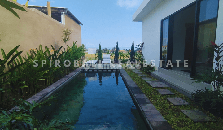 For Rent 2 BR Full Furnished Villa With Rice Field View Cemagi 1