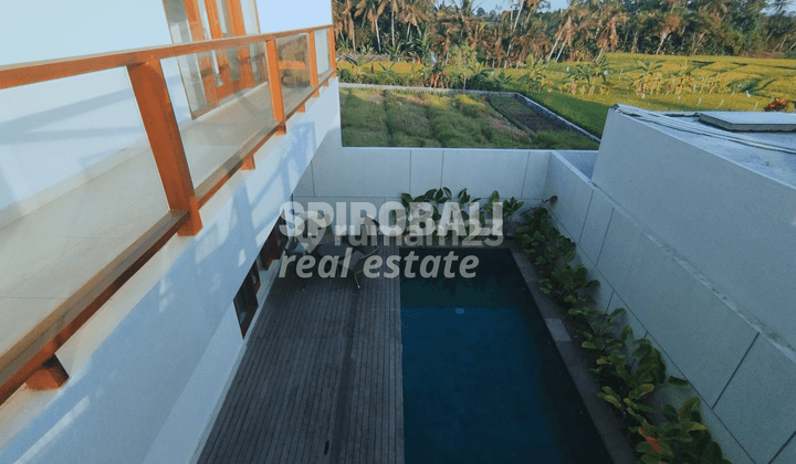 For Rent 3 Bedrooms Villa With Ricefield View In Cemagi  1