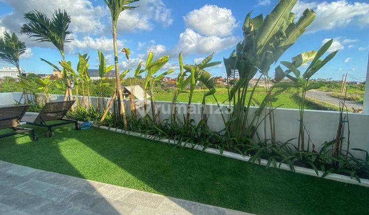 Yearly And Monthly Rent Modern Design 3 BR Villa Ricefield View Canggu 2