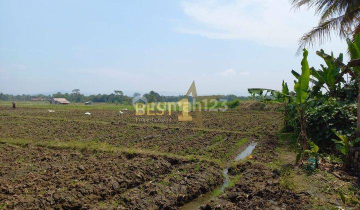 Dijual tanah kering cocok buat perum dan gudang di cililin 2
