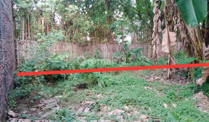 Tanah Perkarangan Area Kost-kostan Dekat Mall Luwes Gentan  1