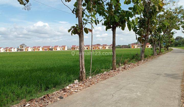 Jual Cepat Lahan Murah Zona Kuning Disekitar Perumahan 1
