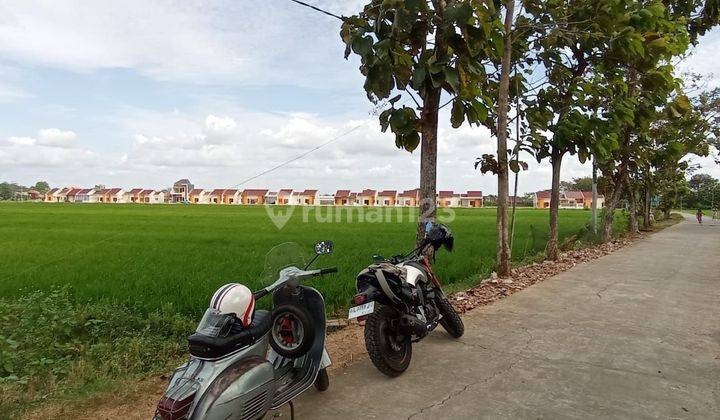 Jual Cepat Lahan Murah Zona Kuning Disekitar Perumahan 2