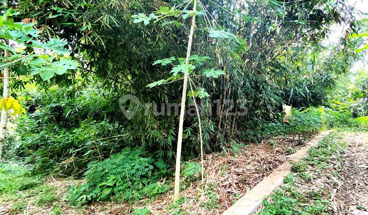 Yard Land in the Middle of Karanganyar Village