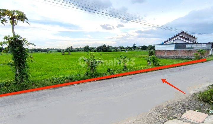 Tanah Shm Kering Zona Kuning Cocok Untuk Perumahan Atau Usaha 2