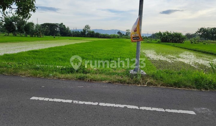 Jual Lahan Bagus Zona Kuning Klaten Utara