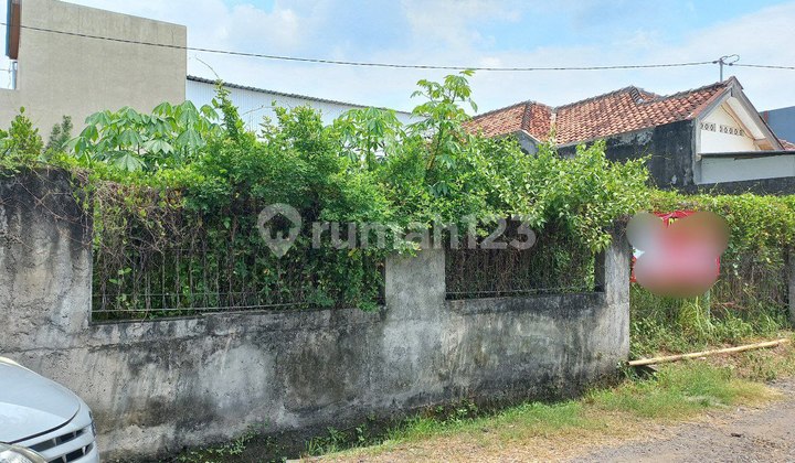 Cheap Land in a Strategic Location Near the Main Road Cheap Land in a Strategic Location Near the Main Road