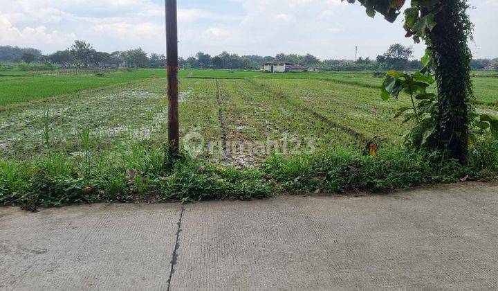 Tanah Sawah Tepi Jalan Propinsi Status Kering 2