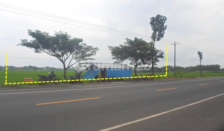 Cheap industrial land by the main road for quick sale.