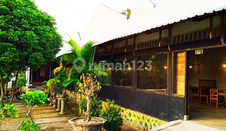 Tempat Usaha Coffee Shop Pinggir Jalan Provinsi Tempat Usaha Coffee Shop Pinggir Jalan Provinsi