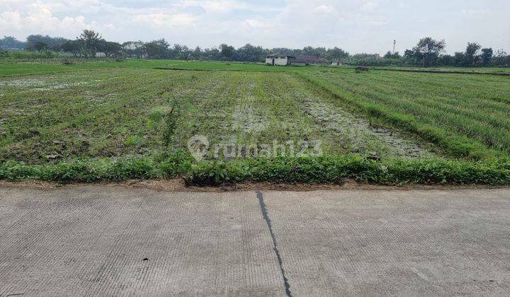 Tanah Sawah Tepi Jalan Propinsi Status Kering 1