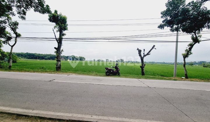 Tanah Sawah Tepi Jalan Raya di Sukoharjo