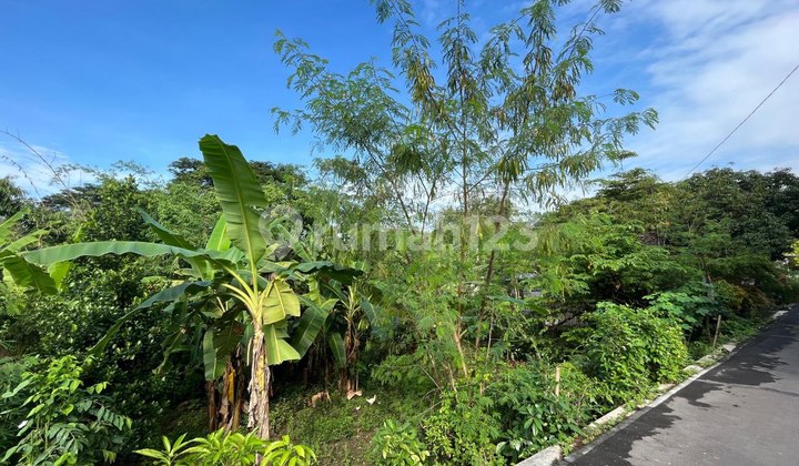 Jual Tanah Pekarangan di Godangrejo Karanganyar Jual Tanah Pekarangan di Godangrejo Karanganyar