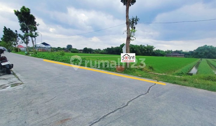 Tanah Sawah Hijau Produktif Dekat Bandara Adi Sumarmo