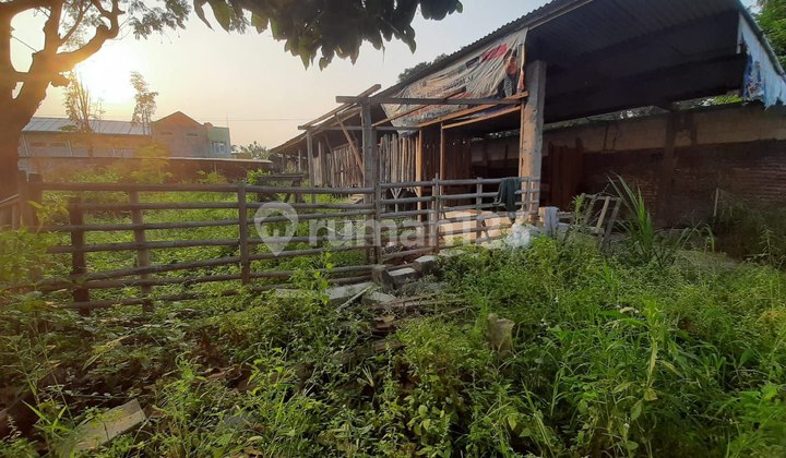 Lahan Ex Ternak Kambing Lokasi Asri Dekat Bandara
