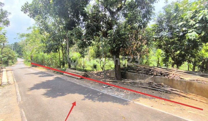 Tanah Luas Status Pekarangan Cocok Untuk Villa