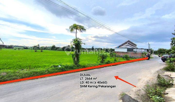 Tanah Shm Kering Zona Kuning Cocok Untuk Perumahan Atau Usaha 1