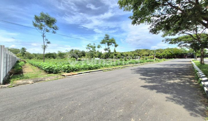 Industrial Zone Land Plot Mojosongo Boyolali