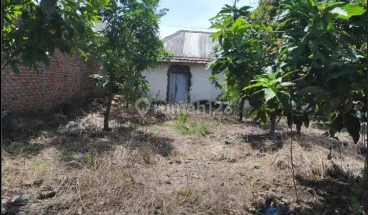 Dijual Tanah Cocok Nol Jalan Raya Buncitan Sedati Sidoarjo 1