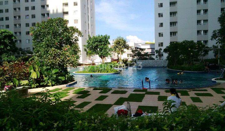 Apartemen Educity Harvard lantai Rendah Surabaya Timur surabaya 1