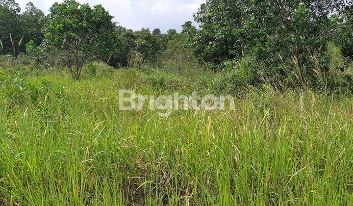 Tanah Kosong Meretai Luas 5,670 M2 Jakabaring, Banyuasin Siap Bangun 1