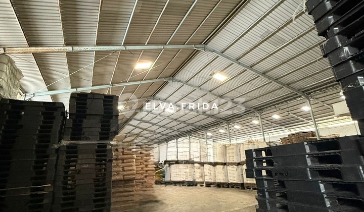 Dijual Gudang Industri Siap Pakai di Tambak Sawah Dekat Surabaya Dijual Gudang Industri Siap Pakai di Tambak Sawah Dekat Surabaya