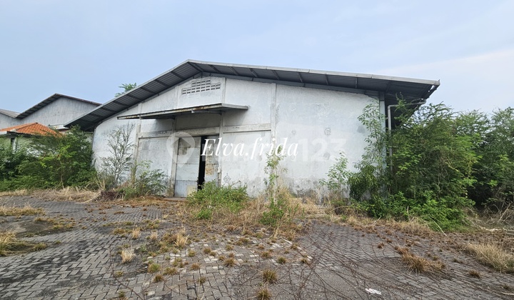 For Quick Sale: Jumbo Warehouse in Margomulyo Indah 1 Surabaya
