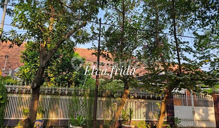For Sale House on Jl Jaksa Agung Suprapto Surabaya Center 1