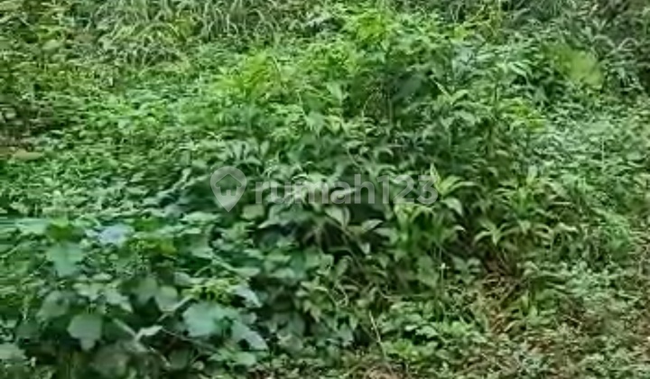 Dijual Murah Tanah Strategis Di Cibinong S4907 Dijual Murah Tanah Strategis Di Cibinong S4907