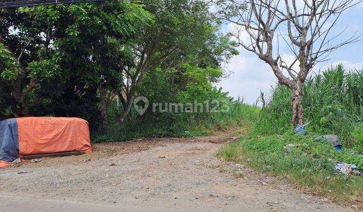 Tanah Bagus Di Kresek, Desa Kemuning,Tangerang, Banten 1