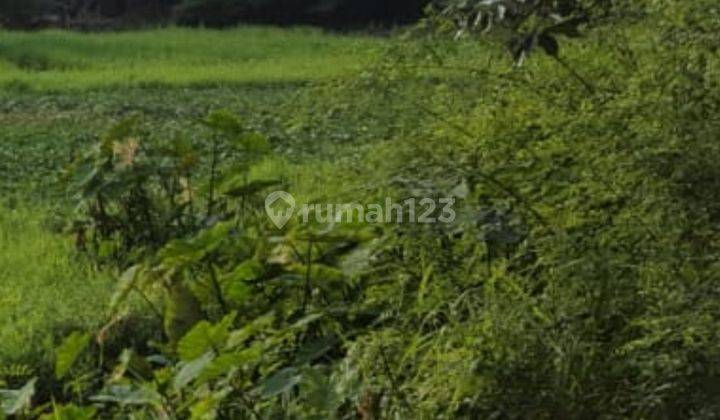 Tanah Bagus di Neglasari, Tangerang,  Banten  1