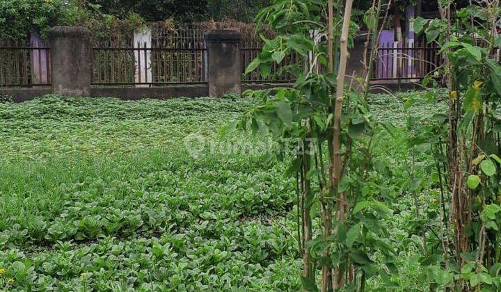 Tanah Bagus Di Teluknaga, Dadap, Kampung Melayu,tangerang, Banten 2