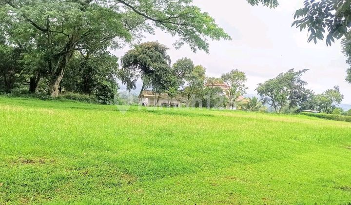 Good Land in Serang, Bojonegara, Karang Kepuh, Banten.