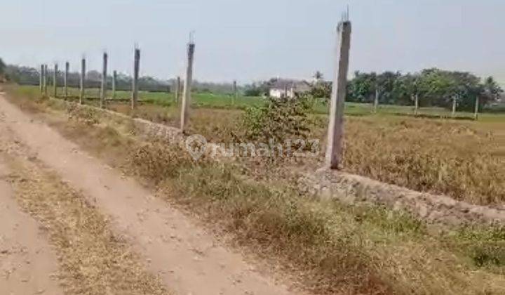 Tanah Bagus Dan Murah Di Mauk, Tangerang,  Banten  1