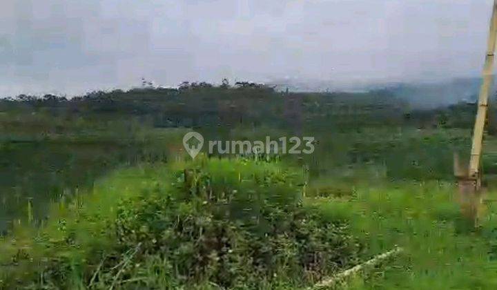 Tanah Bagus Cigombong, Kabupaten Bogor,jawa Barat 2