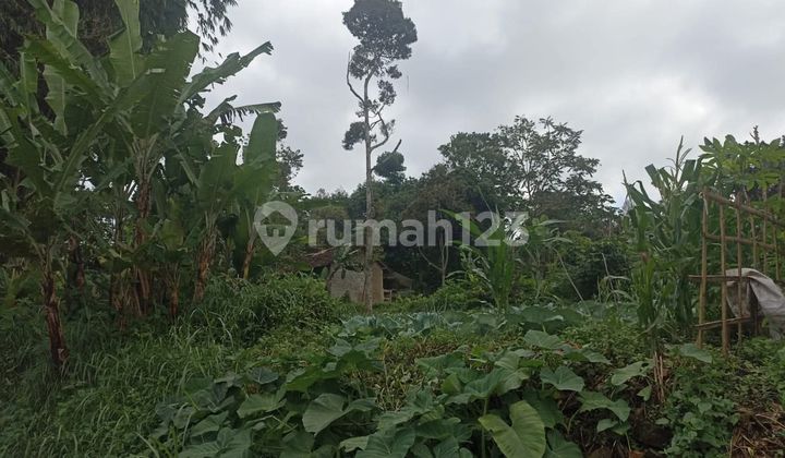 Dijual Tanah Kebun View Bagus Di Pakuhaji Ngamprah