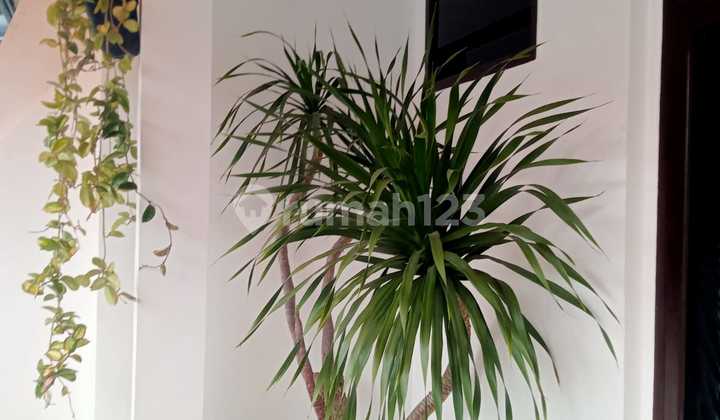 Rumah Siap Huni Baru Renov di Pharmindo Cijerah Cimahi