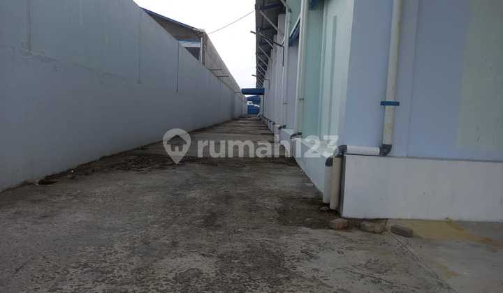 Gudang di Telukan, Grogol 6
